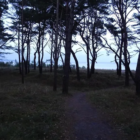 公寓 Am Meer 宾茨